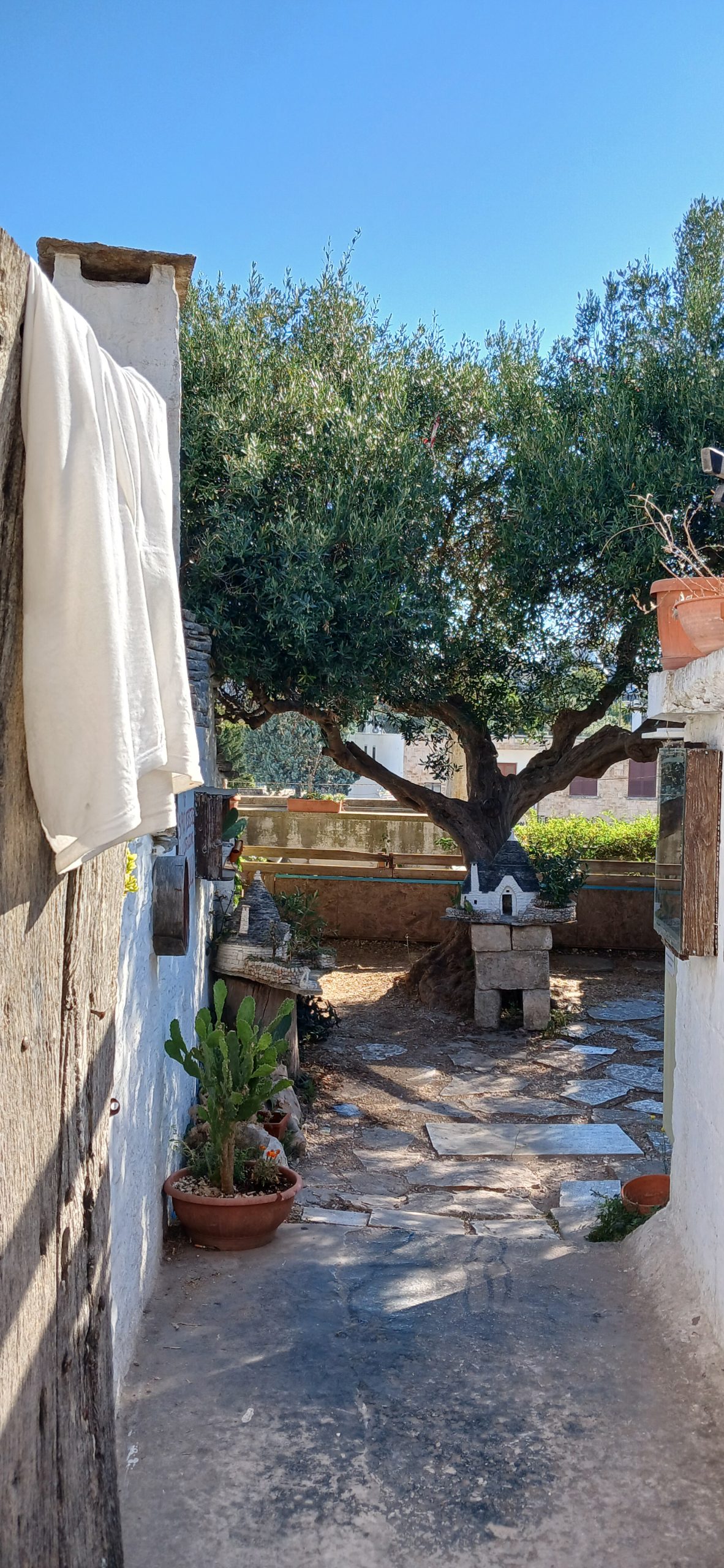 Alberobello antico trullo 082533