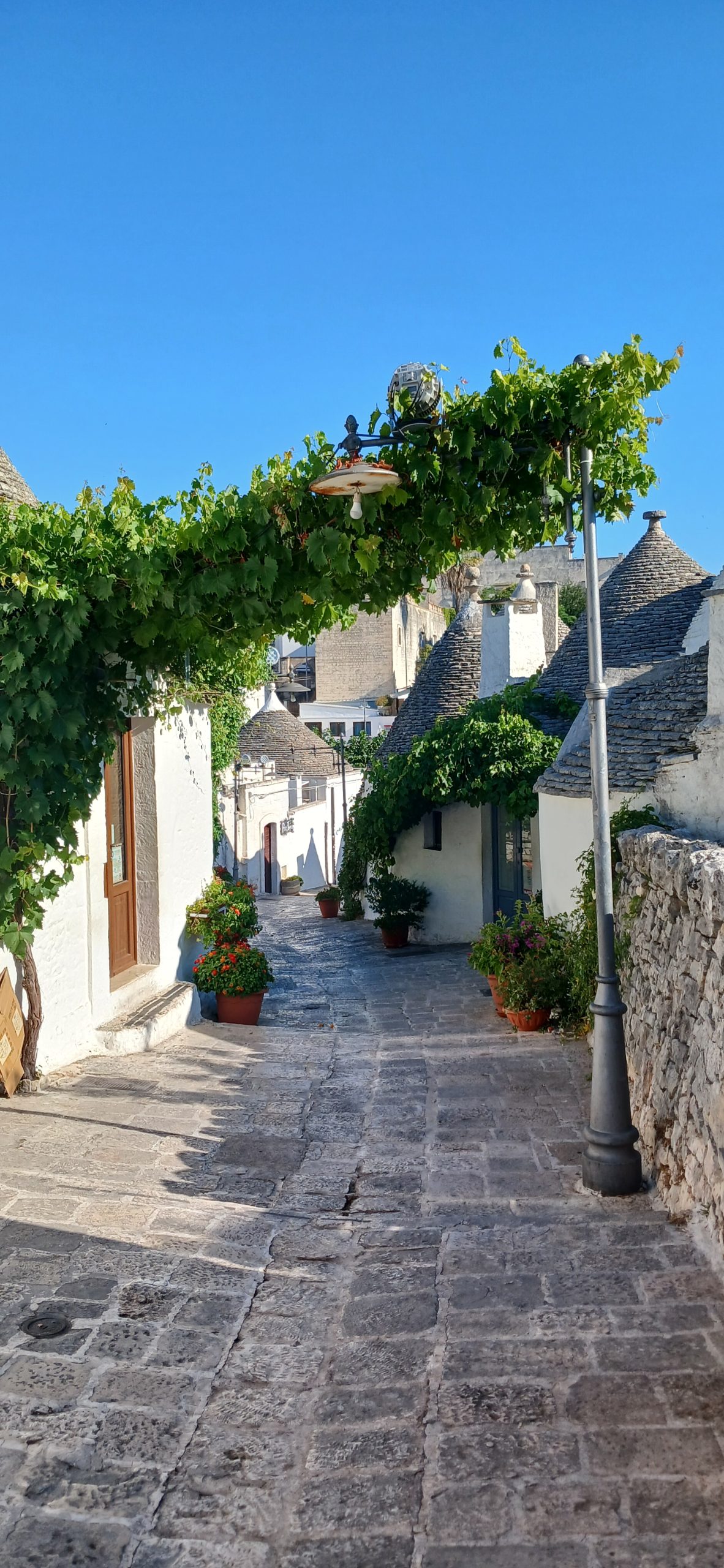 Alberobello antico trullo 082605