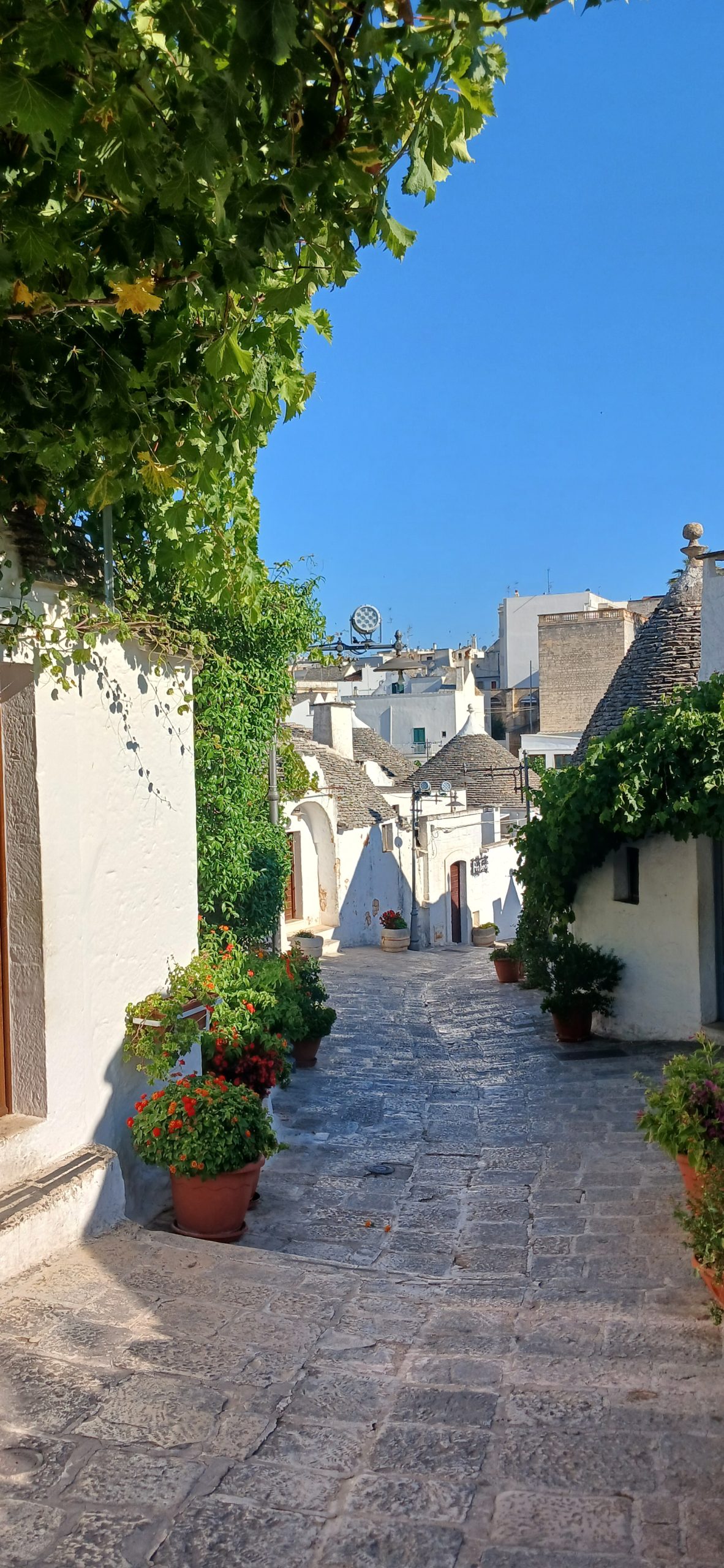 Alberobello antico trullo 082635
