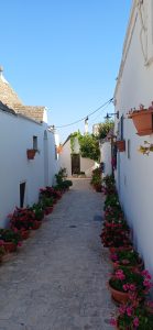 Alberobello ars creandi 080215