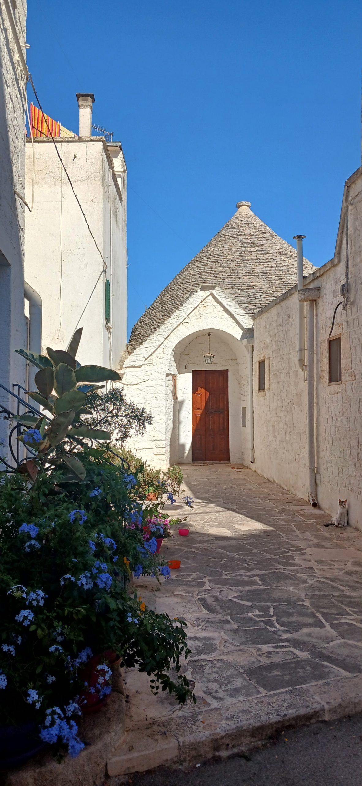 Alberobello basilica minore dei santi cosma e damiano 085108