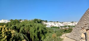 Alberobello chiesa di santa lucia 083157