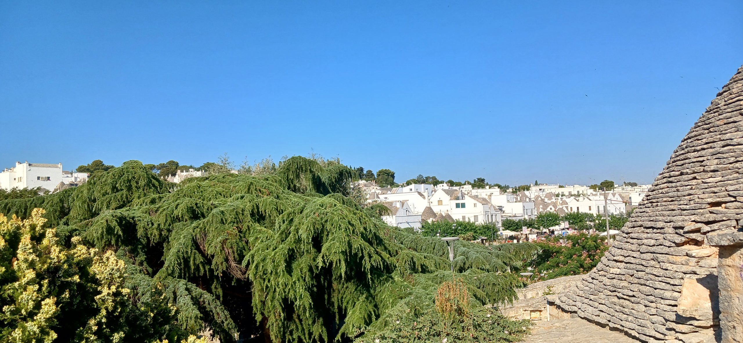 Alberobello chiesa di santa lucia 083157