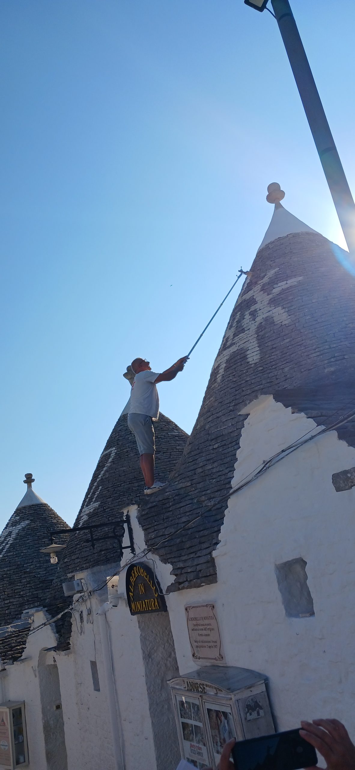 Alberobello dealfa 080642