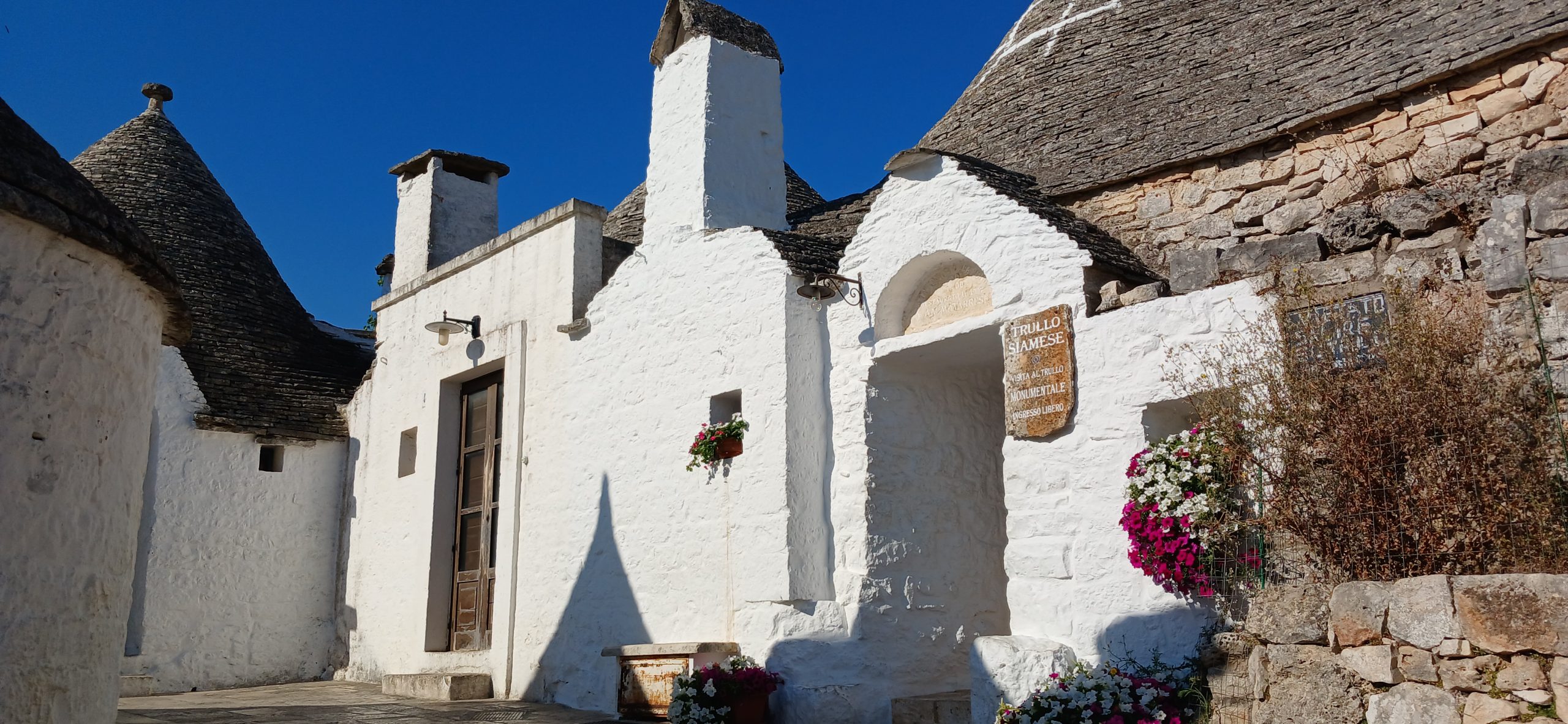 Alberobello trullo siamese 082359