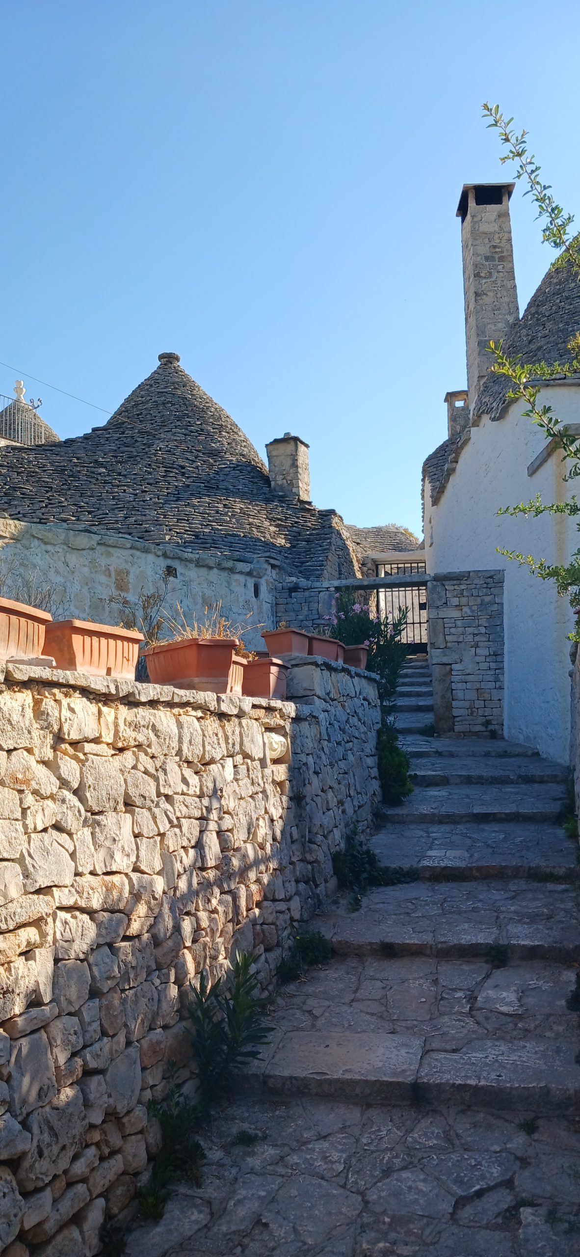 Alberobello via duca degli abruzzi 083219