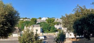 Alberobello via indipendenza 083029